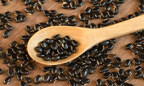 Ginkgo Biloba Extract